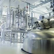 Chemicals Industry