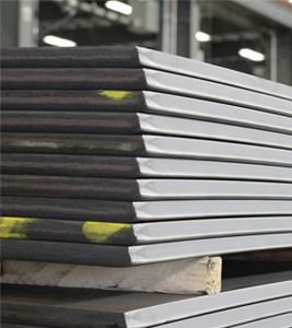 Stainless Steel Plate