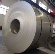 310 Stainless Steel Coil